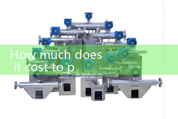 Purchase electromagnetic flowmeter